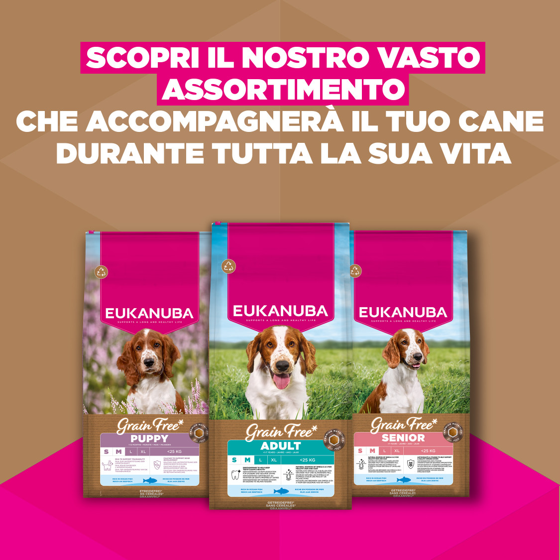 Eukanuba Adult S/M graanvrij zeevis hondenvoer