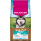 Eukanuba Adult L/XL senza cereali al pesce per cane