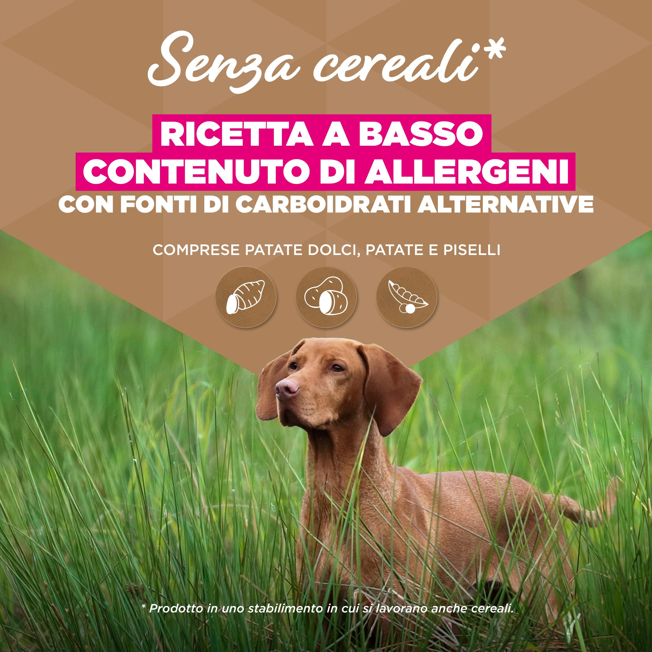 Eukanuba Adult L/XL graanvrij zeevis hondenvoer