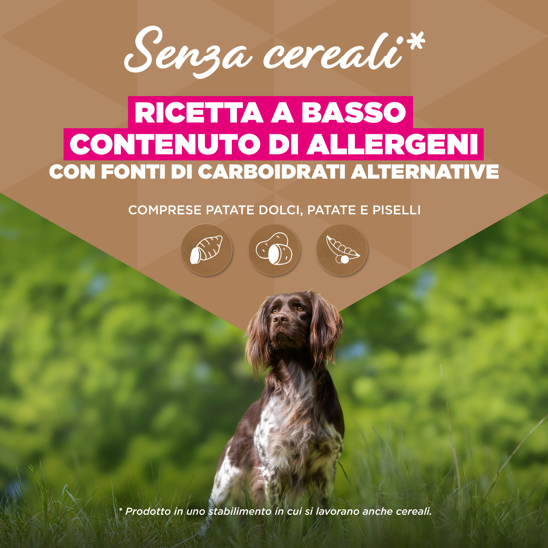 Eukanuba Senior Small & Medium met oceaanvis graanvrij hondenvoer