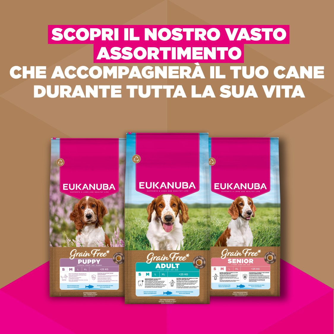 Eukanuba Senior Small & Medium met oceaanvis graanvrij hondenvoer