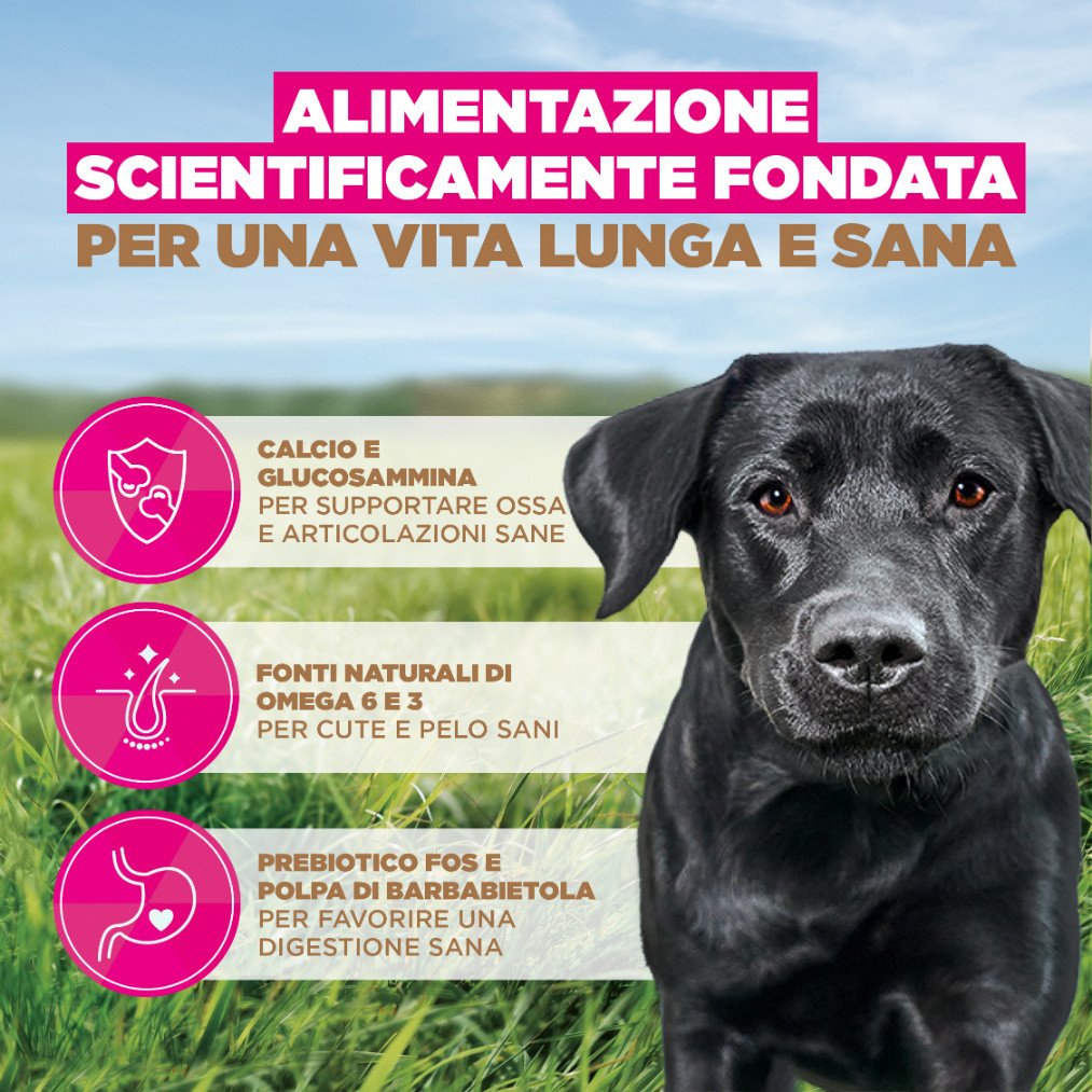 Eukanuba Adult Large kip graanvrij hondenvoer