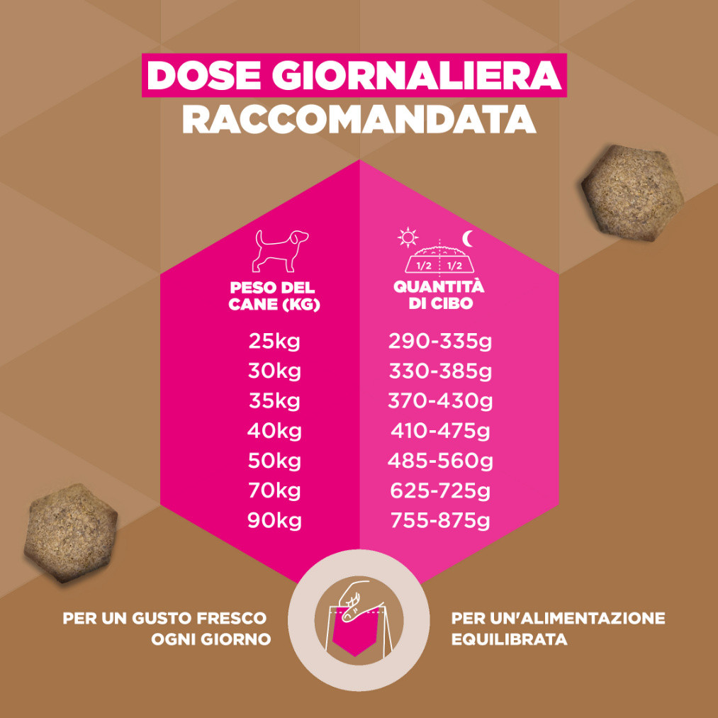 Eukanuba Adult Large kip graanvrij hondenvoer