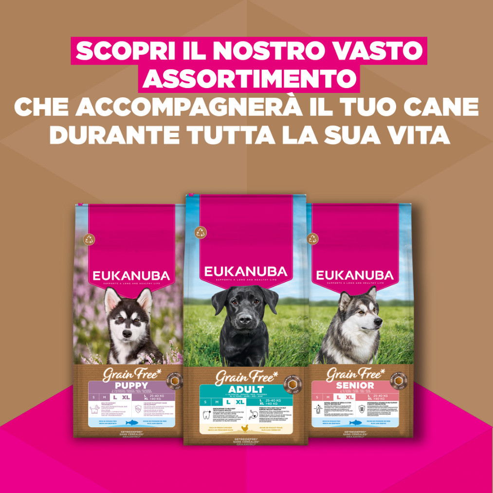 Eukanuba Adult Large kip graanvrij hondenvoer