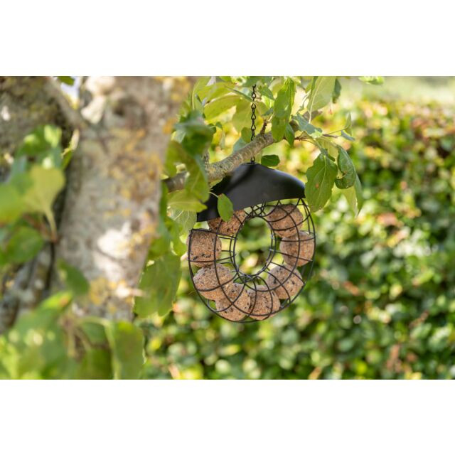 Mezenbollenhouder voor vogels