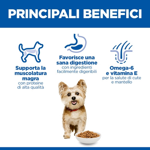 Hill's Adult Small & Mini al pollo per cane