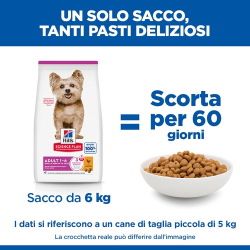 Hill's Adult Small & Mini al pollo per cane