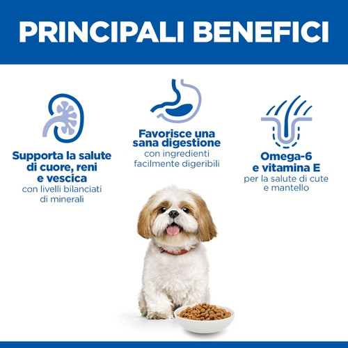 Hill's Mature Adult 7+ Small & Mini con pollo per cane