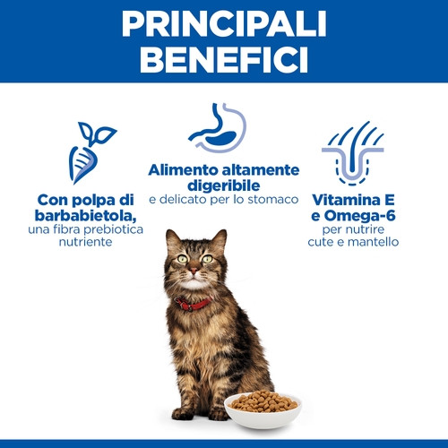 Hill's Adult Sensitive Stomach & Skin Gatto