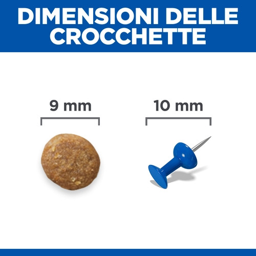 Hill's Adult Sensitive Stomach & Skin Gatto