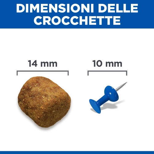 Hill's Adult Advanced Fitness Large Breed Lamm & Reis Hundefutter 