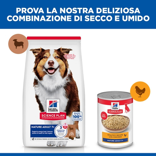 Hill's Mature Adult Medium agnello e riso per cane