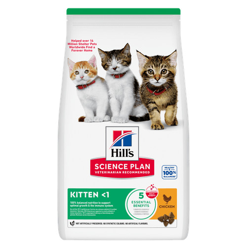 Hill's Kitten con pollo per gatto