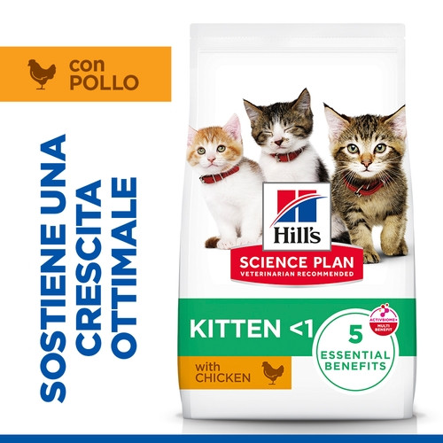 Hill's Kitten Healthy Development Huhn Katzenfutter