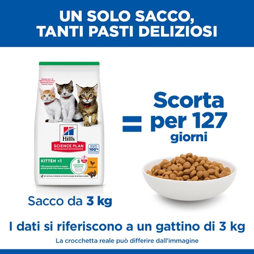 Hill's Kitten Healthy Development Huhn Katzenfutter