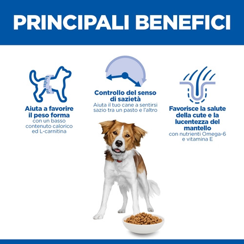 Hill's Adult Light Huhn Hundefutter 