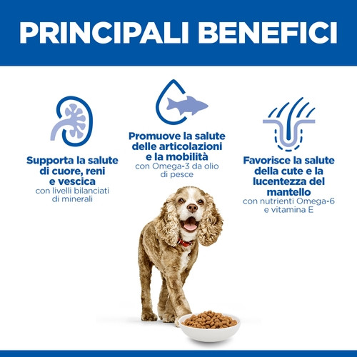 Hill's Senior Small-Mini con pollo per cane