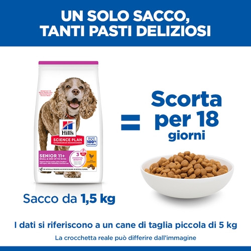 Hill's Senior Small-Mini con pollo per cane
