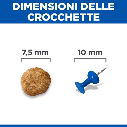 Hill's Senior Small-Mini con pollo per cane