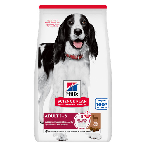 Hill's Adult Medium con agnello e riso per cane