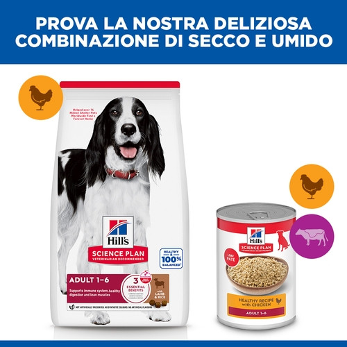 Hill's Adult Advanced Fitness Lamm & Reis Hundefutter 