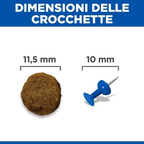 Hill's Adult Advanced Fitness Lamm & Reis Hundefutter 