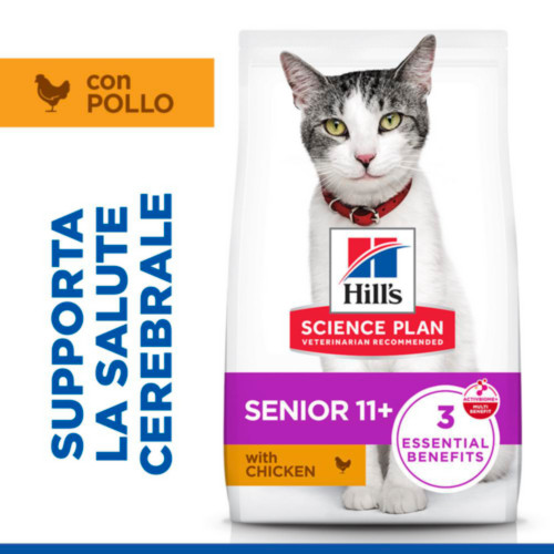 Hill's Senior 11+ con pollo per gatto