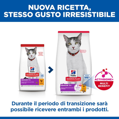 Hill's Senior 11+ con pollo per gatto