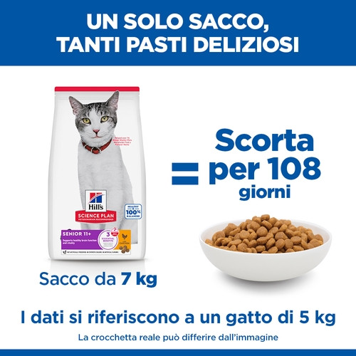 Hill's Senior 11+ con pollo per gatto