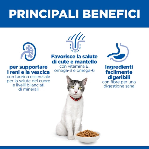 Hill's Senior 11+ con pollo per gatto