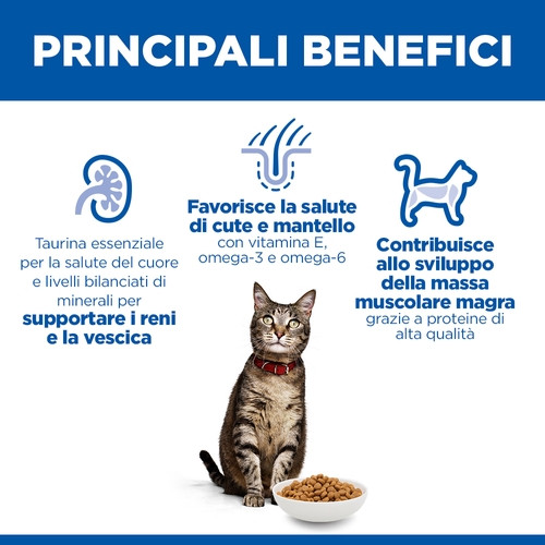 Hill's Adulto con pollo per gatto