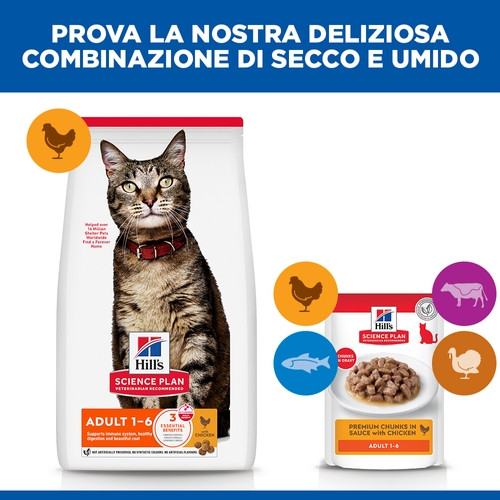 Hill's Adulto con pollo per gatto