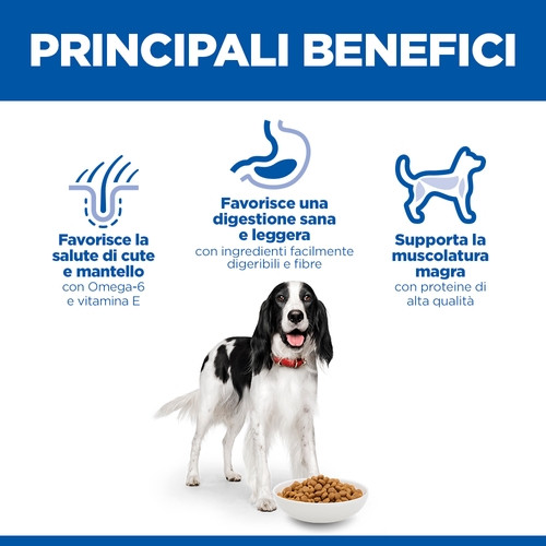 Hill's Adult Advanced Fitness Medium Huhn Hundefutter 