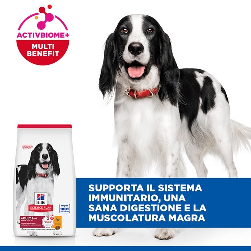 Hill's Adult Advanced Fitness Medium Huhn Hundefutter 