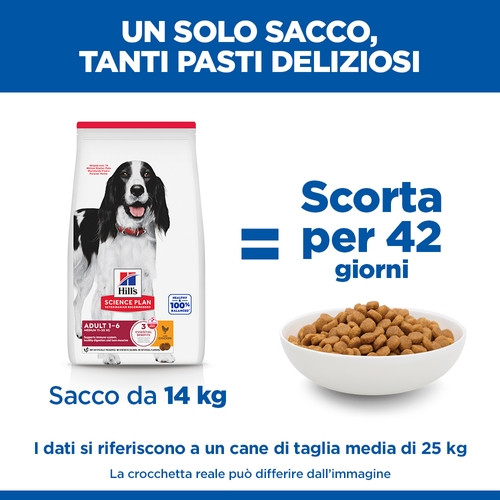 Hill's Adult Advanced Fitness Medium Huhn Hundefutter 