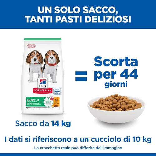 Hill's Puppy (Cucciolo) Medium con pollo