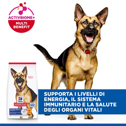 Hill's Mature Adult 5+ Active Longevity Large Breed Huhn Hundefutter 