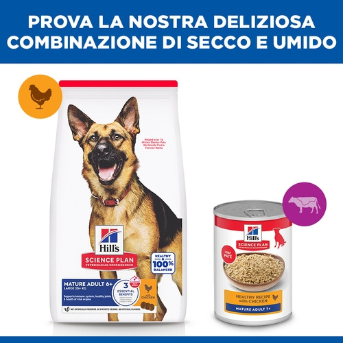 Hill's Mature Adult 5+ Active Longevity Large Breed Huhn Hundefutter 