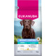 Eukanuba Adult Special Care Large / Extra Large Weight Control per cane
