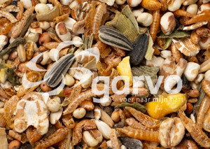 Garvo Pride Treats 2070 snack per polli