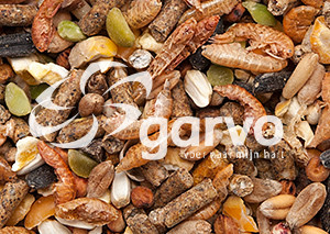 Garvo Alfamix Pride 2055 per polli