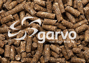 Garvo per galline da riproduzione (pellet)