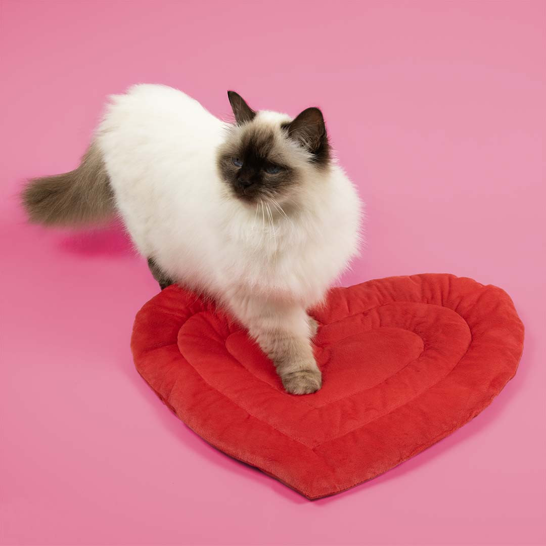 Be Mine kattenplaid hartvorm rood