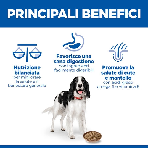 Hill's Adulto con manzo in scatola