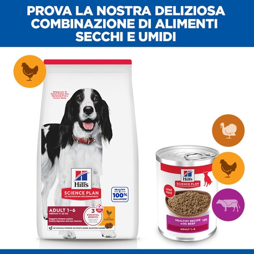 Hill's Adulto con manzo in scatola