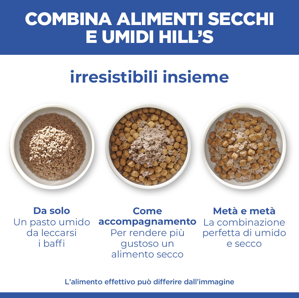 Hill's Adulto con manzo in scatola