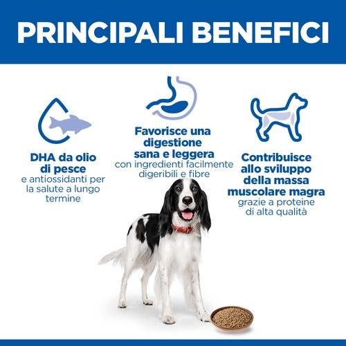 Hill's Adulto con pollo umido per cane (scatola 370 g)