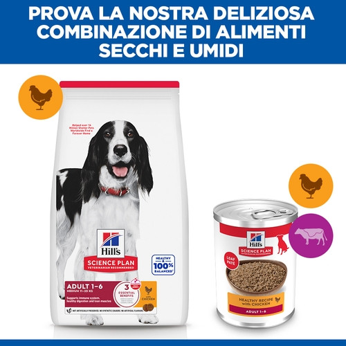 Hill's Adulto con pollo umido per cane (scatola 370 g)