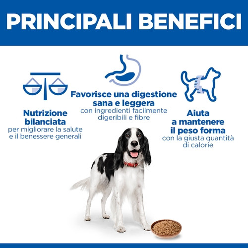 Hill's Adulto con tacchino in scatola