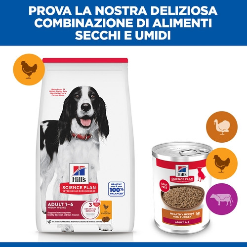 Hill's Adulto con tacchino in scatola